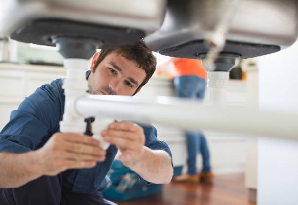 Best Local Plumber Services  in Pinetop Lakeside, AZ