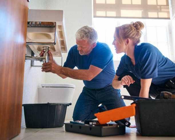 Best Plumbing Inspection Services  in Pinetop Lakeside, AZ